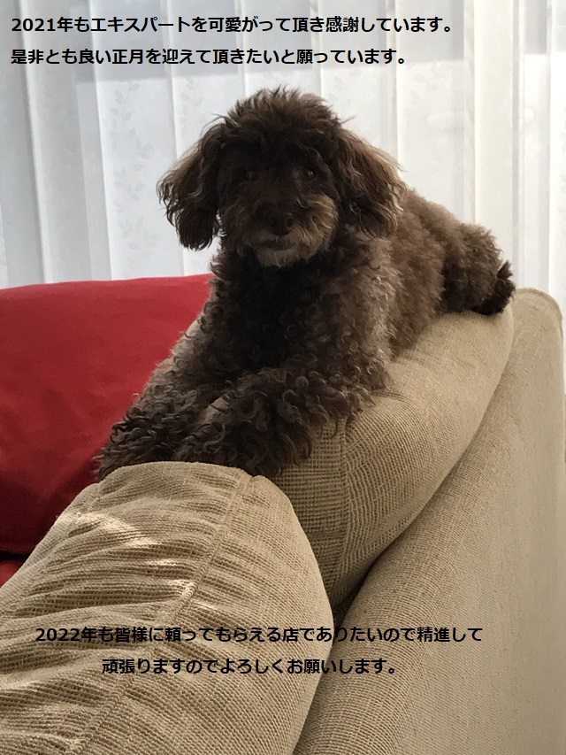 ありがと♪　感謝♪　