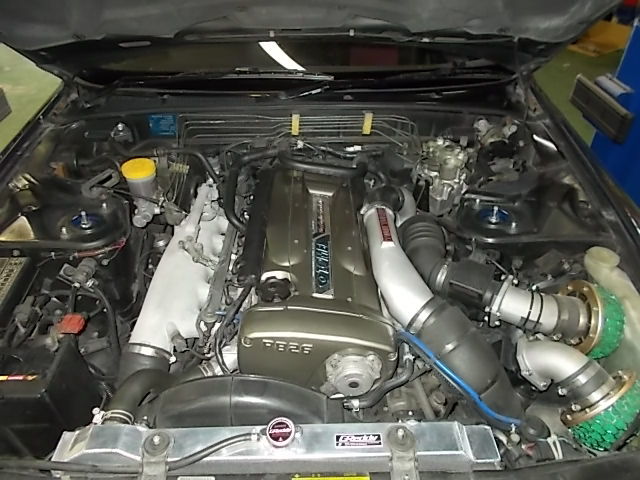 DSCN2459.jpg